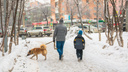 С 1 января в Самарской области изменятся правила выплат пособий семьям с детьми