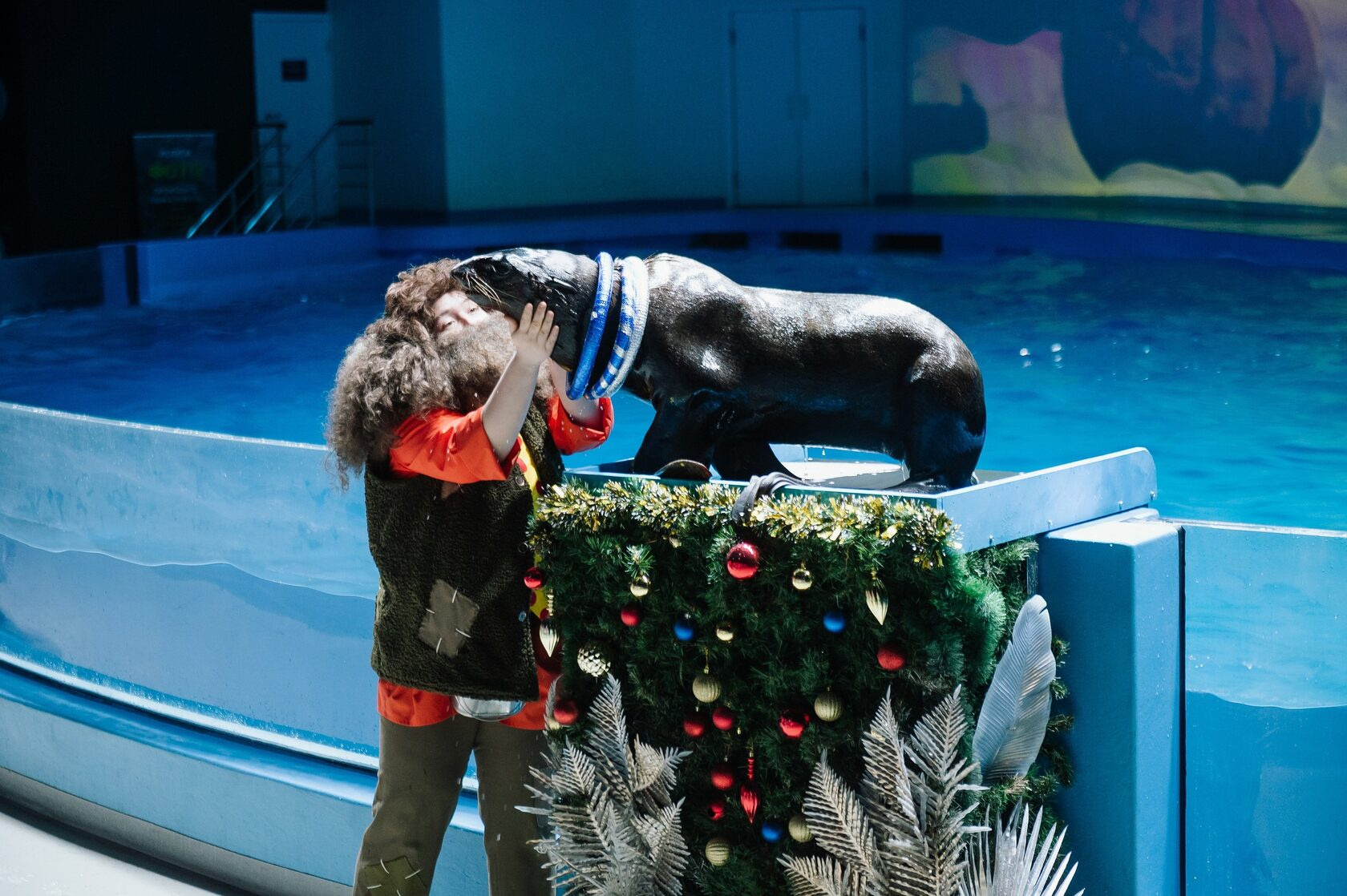 лучшее новогоднее шоу 2023. шоу новогодняя маска аватар. новый год 2023 шоу программа. научная елка в академии наук. детское шоу на новый год.