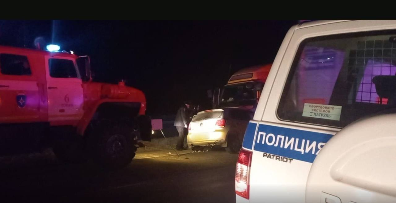 Два ребенка и взрослые погибли в ДТП на трассе Р-255 «Сибирь» — машина выехала на встречку из-за дикого животного