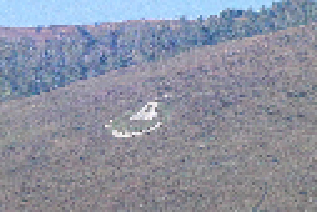 ds