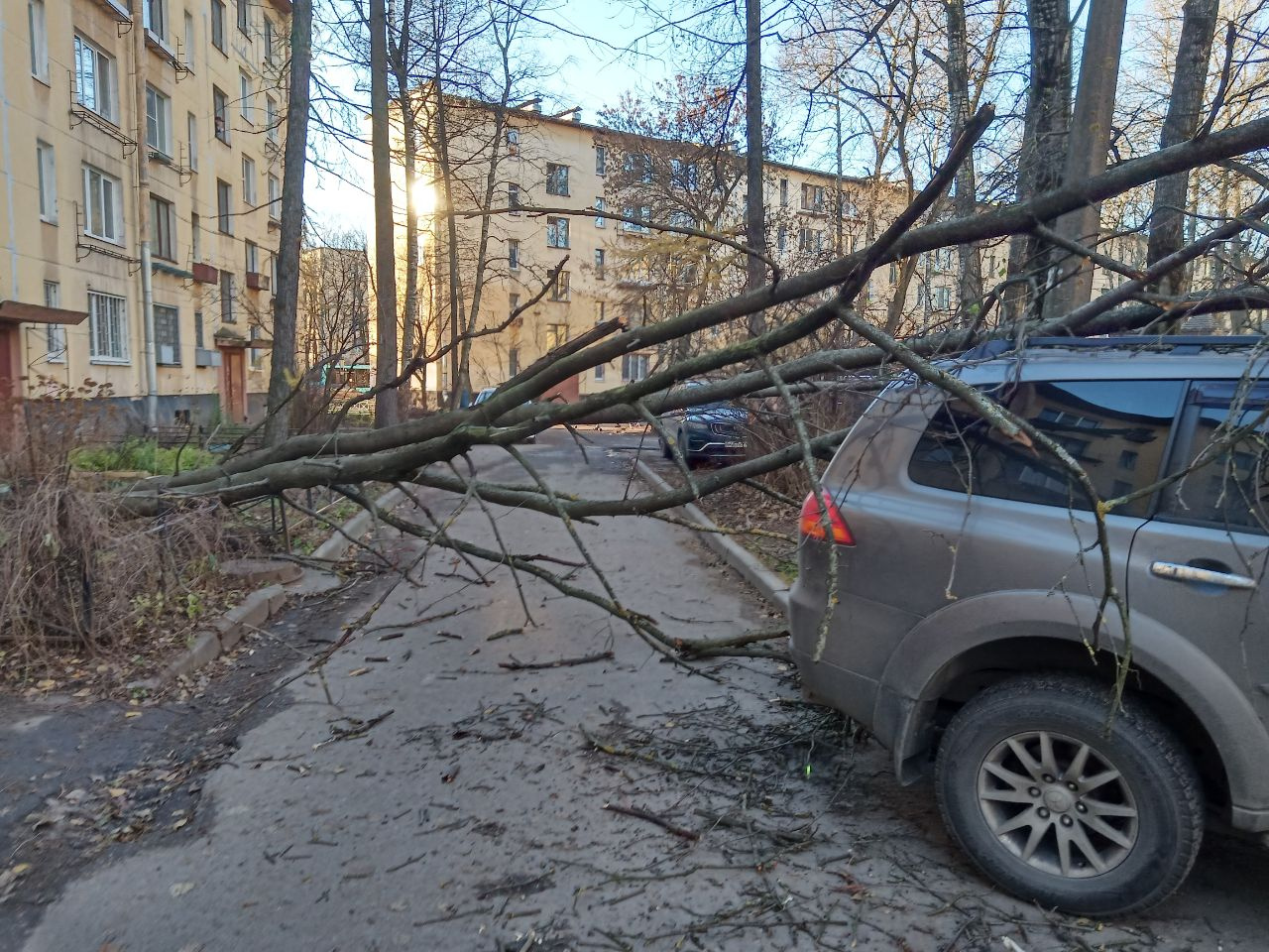 Последствия ветра в Петербурге и других городах 13 ноября 2022 г. - 13  ноября 2022 - ФОНТАНКА.ру