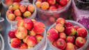 Яблоки начали созревать у дачников на две недели раньше срока в НСО: агроном объяснила почему