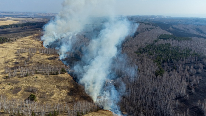 В Красноярском крае отменили режим ЧС в лесах. Что это значит?