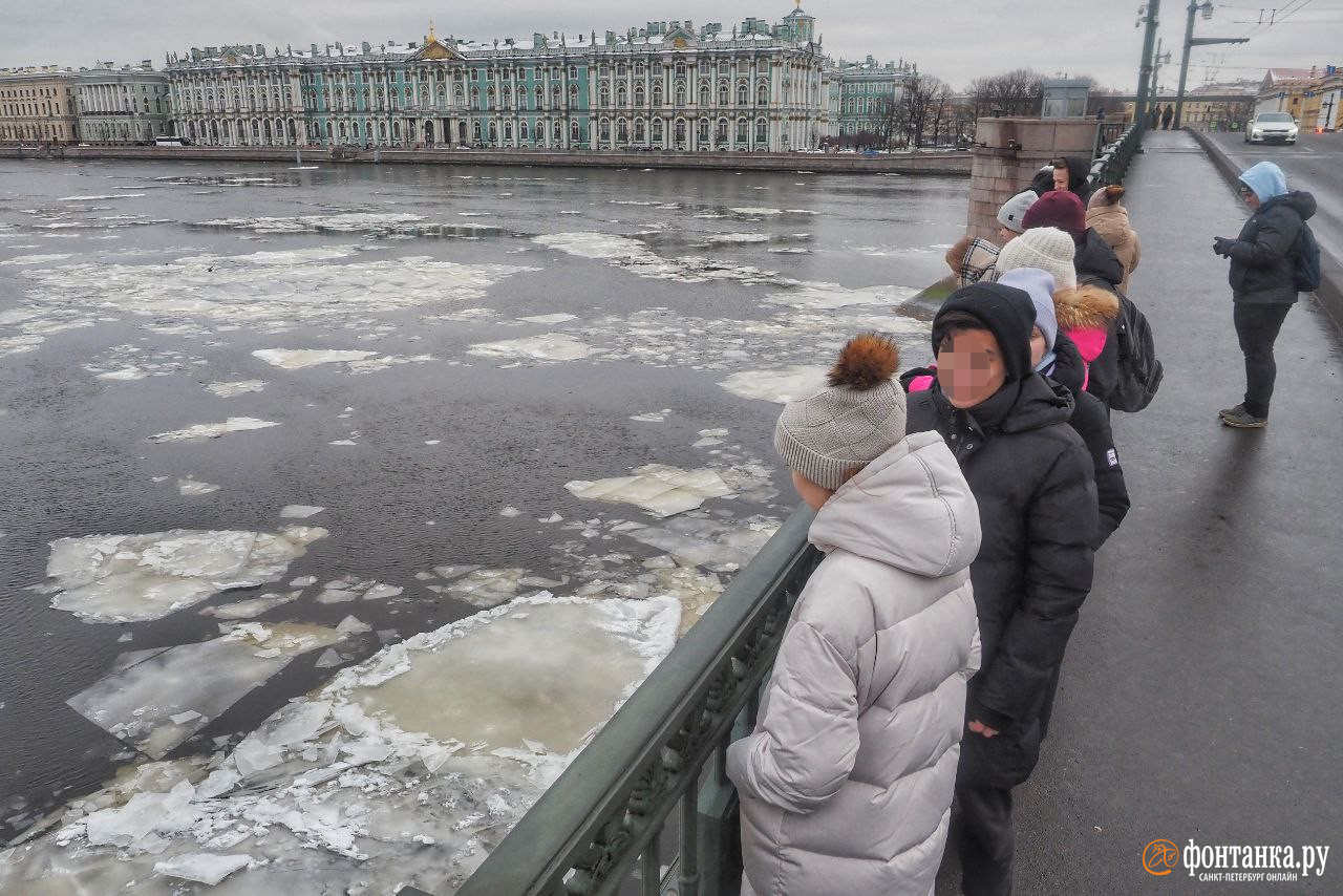 Лёд пошёл по Неве в Петербурге 25 ноября 2022 г. - 25 ноября 2022 -  ФОНТАНКА.ру