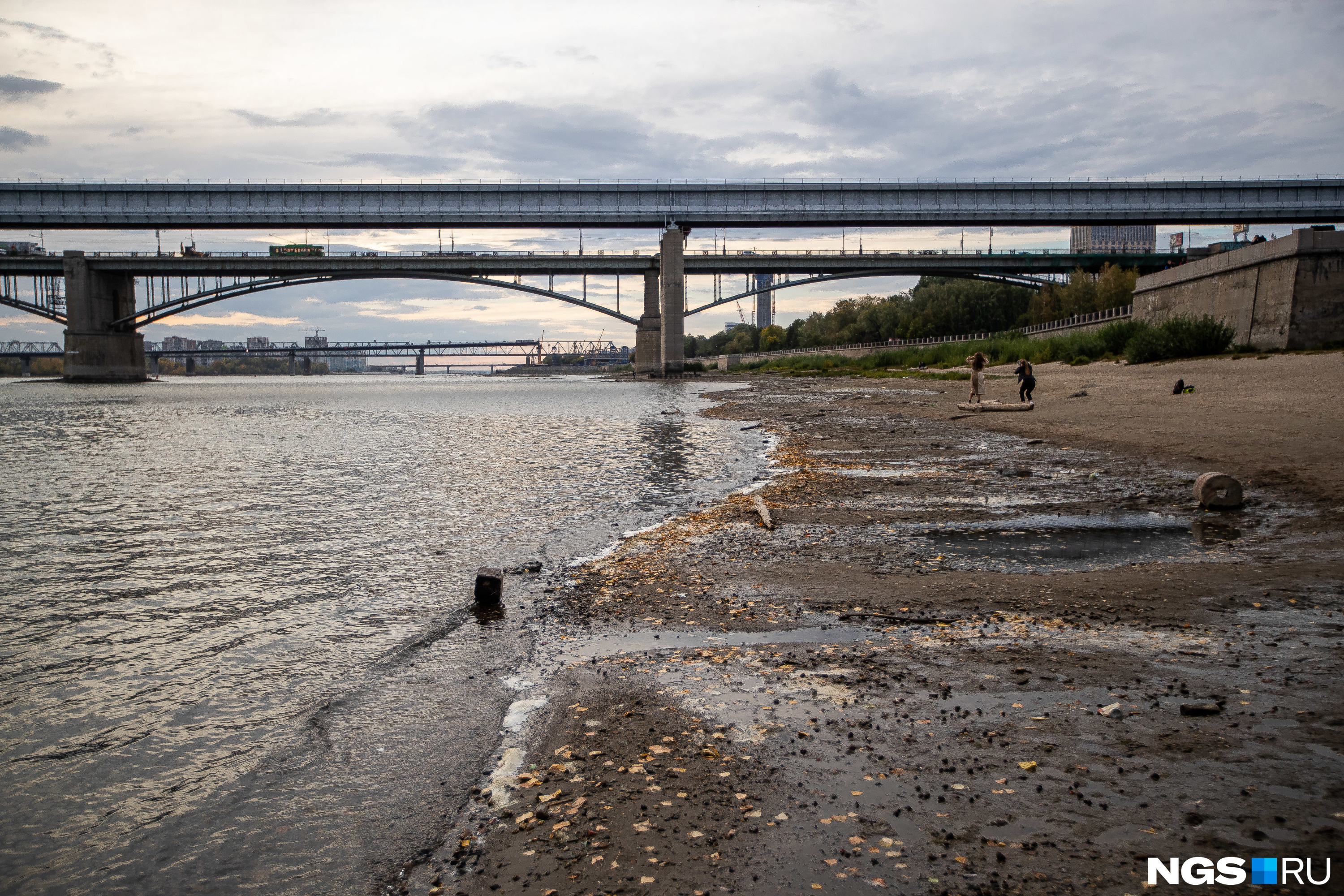 Водохранилище реки обь. Река Обь Новосибирск. Река Дон обмелела. Михайловская набережная Новосибирска, река Обь. Река Обь 2023 Барнаул.