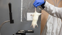 «Вектор» закупит микроКТ для опытов на животных за 62 миллиона — сканировать будут мышей, обезьян и минипигов