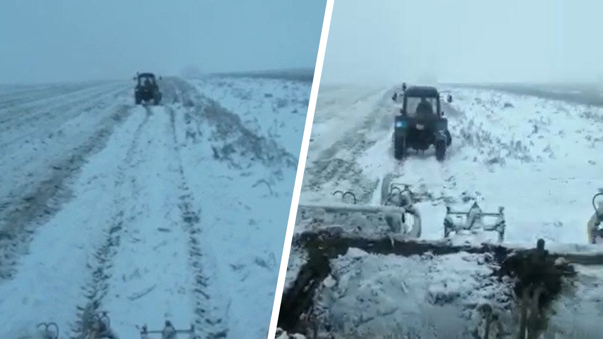 «Это, конечно, ненормально»: эксперт объяснил, почему в Татарстане собирают урожай на заснеженных полях