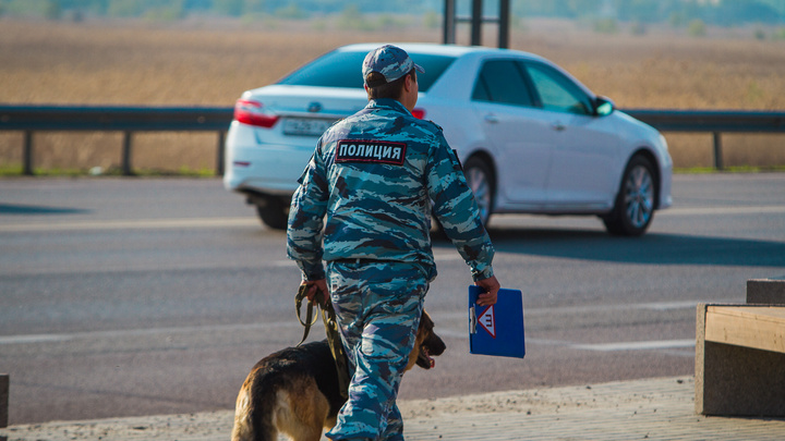 Больше 1500 преступлений: полицейские в Кузбассе изъяли 52 килограмма наркотиков