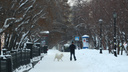 Опустевший и замерзший город: как Новосибирск выглядел 1 января — 10 атмосферных фото