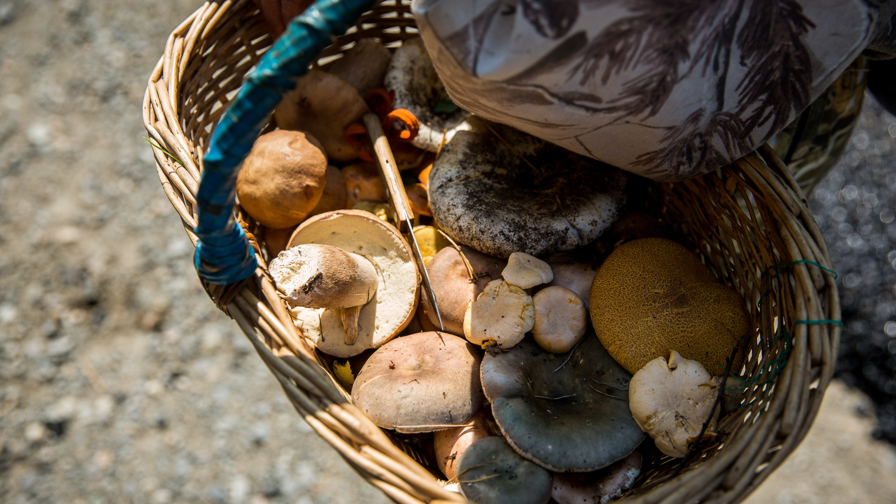 Шляпка к шляпке: как замариновать грибы на зиму — мы нашли универсальный рецепт