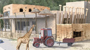 Стоимость строительства павильонов для африканских животных в Новосибирском зоопарке выросла в два раза
