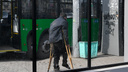 Ветеранам СВО, получившим инвалидность, разрешили в Кургане ездить на автобусах бесплатно