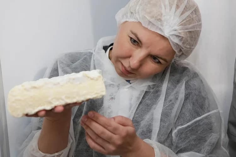 Изготовление сыра — настоящая наука, требующая серьезной теоретической подготовки