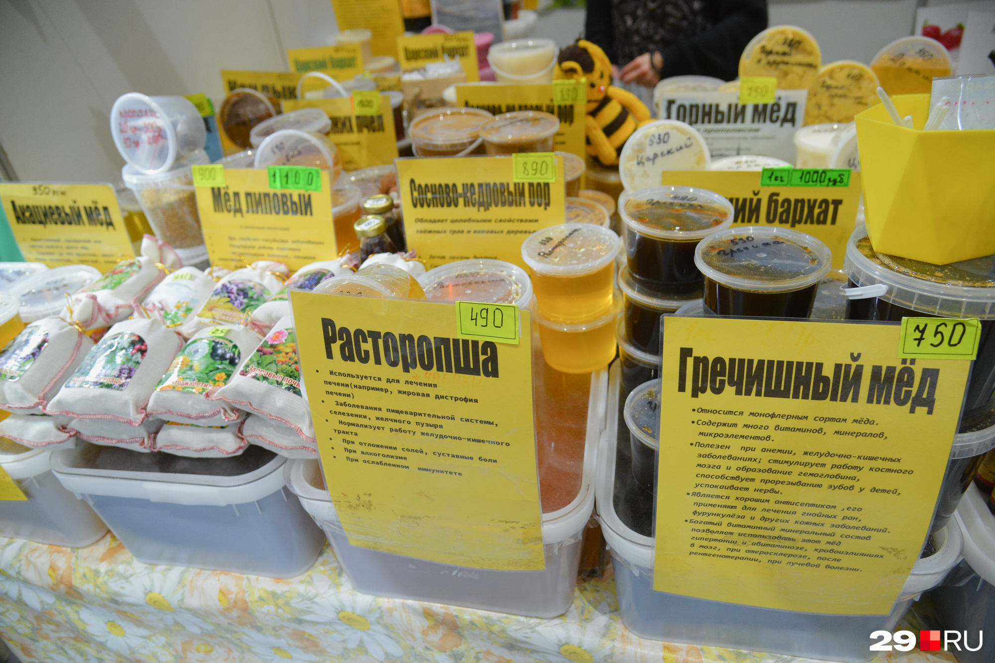Выяснилось, что расторопша — от алкоголизма Выяснилось, что расторопша — от алкоголизма