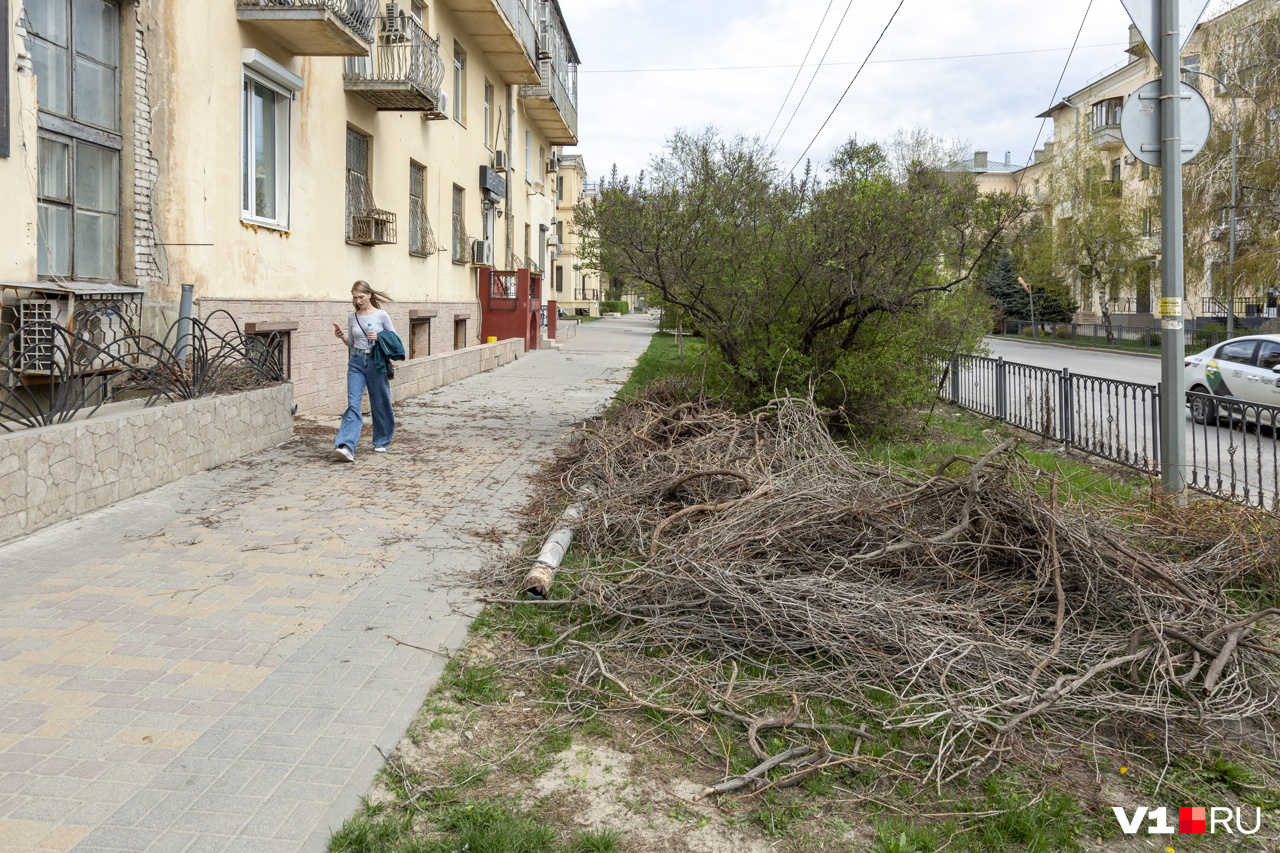 Заявление на замену окон в подъезде на пластиковые образец