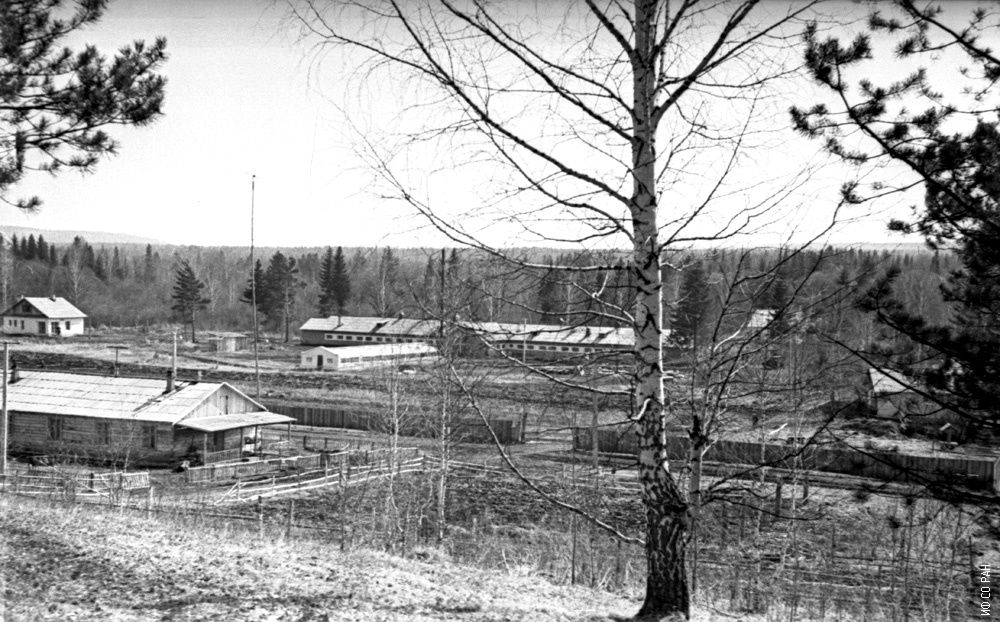 Фото сделано на биостанции в 1980 году Фото сделано на биостанции в 1980 году