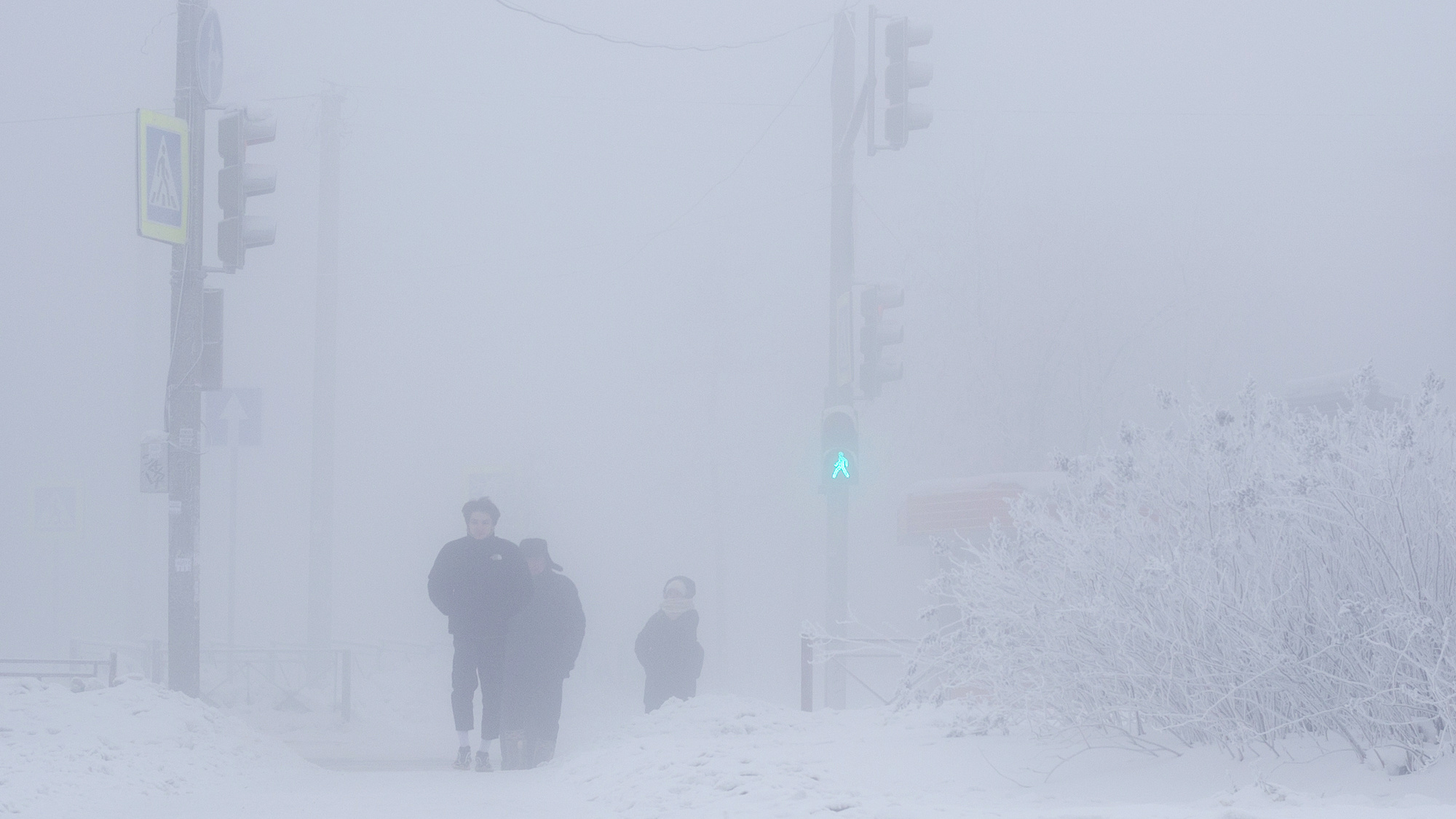 Просто лютый мороз. Очень холодный (и туманный) фоторепортаж с улиц Иркутска