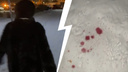 Екатеринбурженка сняла на видео женщину, которая разбрызгивала розовую отраву для собак на сугробы