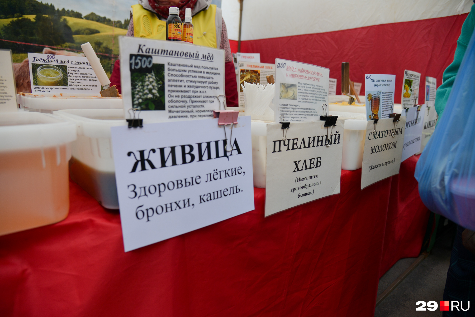 Живица — от кашля, пчелиный хлеб — для иммунитета Живица — от кашля, пчелиный хлеб — для иммунитета