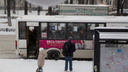 В Ярославле станет больше автобусов. Но только на трех маршрутах