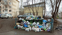 «Экология-Новосибирск» не успела за выходные вывезти залежи мусора — проблема остается в Октябрьском районе