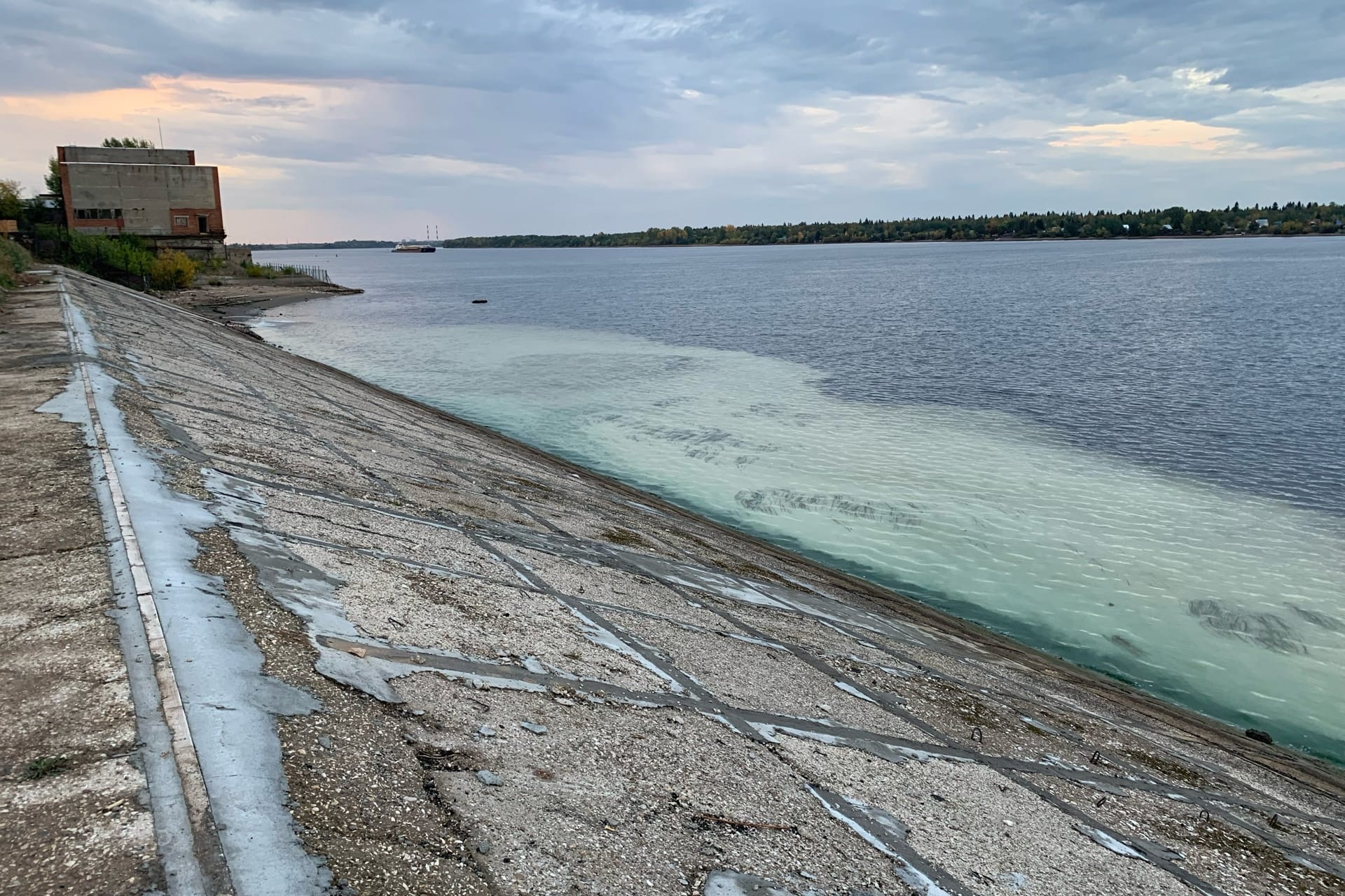 Сливы брат и сестра телеграмме фото 138