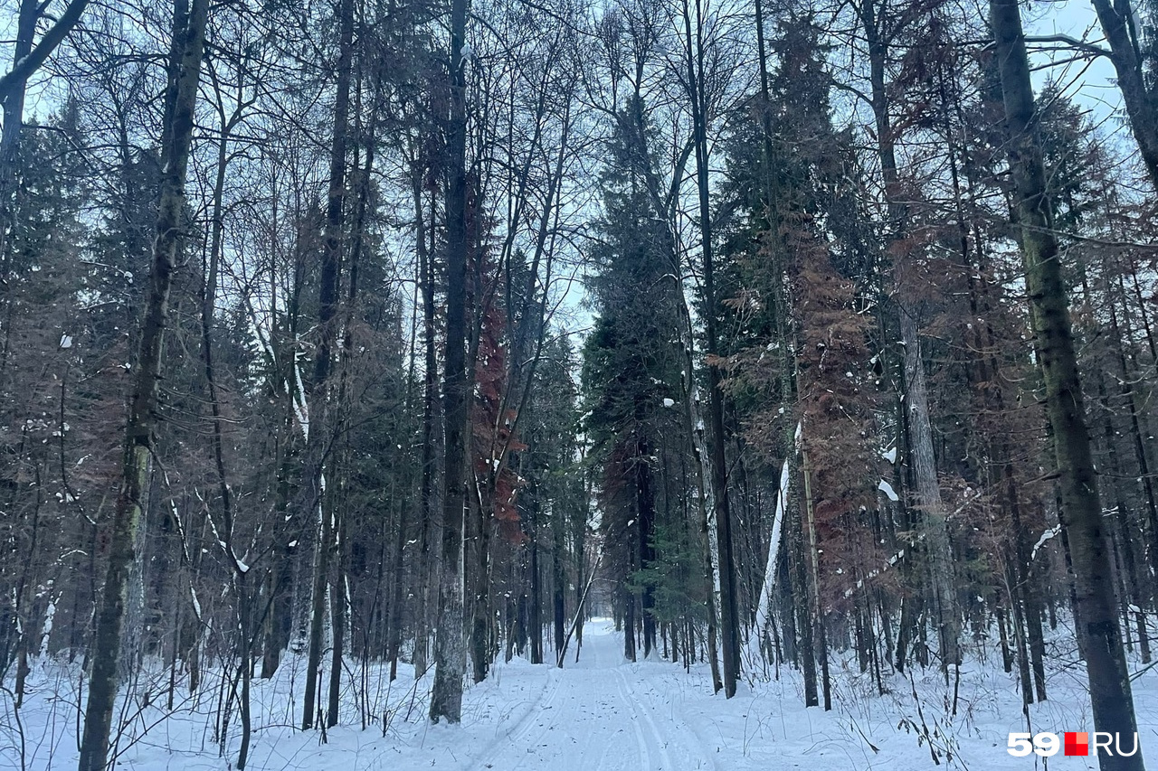 бросили в лесу голой