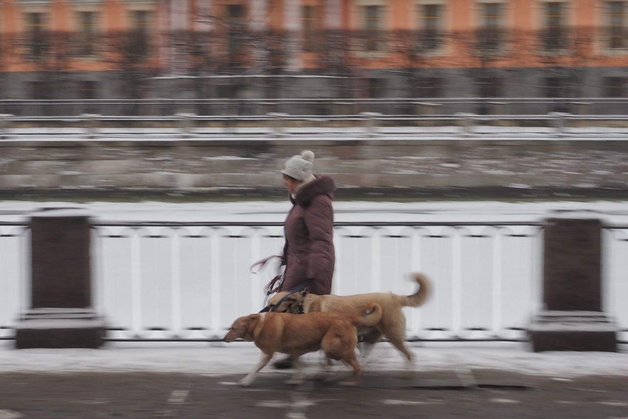 Последний день дождливого снега в Петербурге на неделе. Выходные изменят погоду
