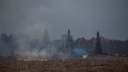 В пяти районах Новосибирской области увеличилась пожароопасность — огонь может подойти к домам