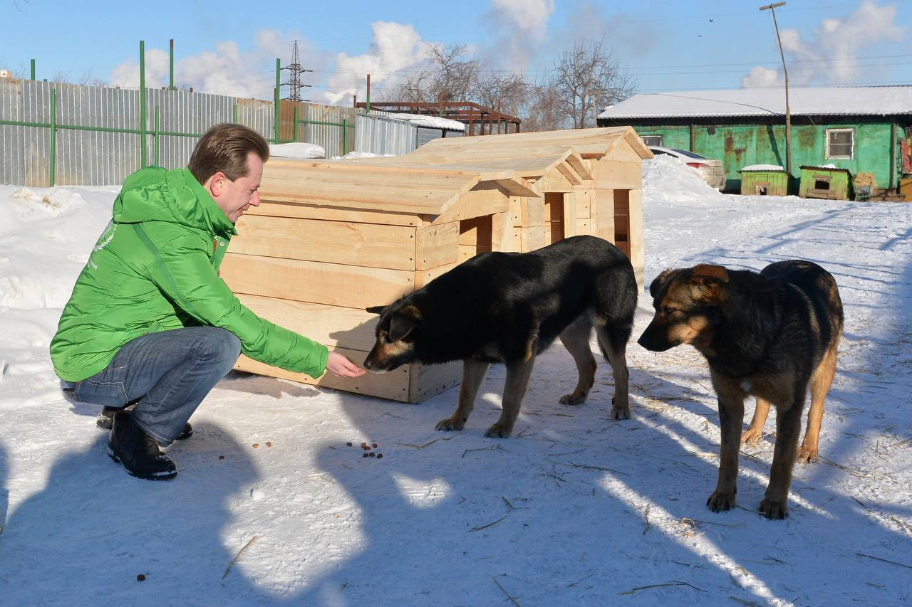 Владимир Бурматов возглавляет комитет Госдумы по экологии и охране окружающей среды, и работа с бездомными животными — один из аспектов его деятельности