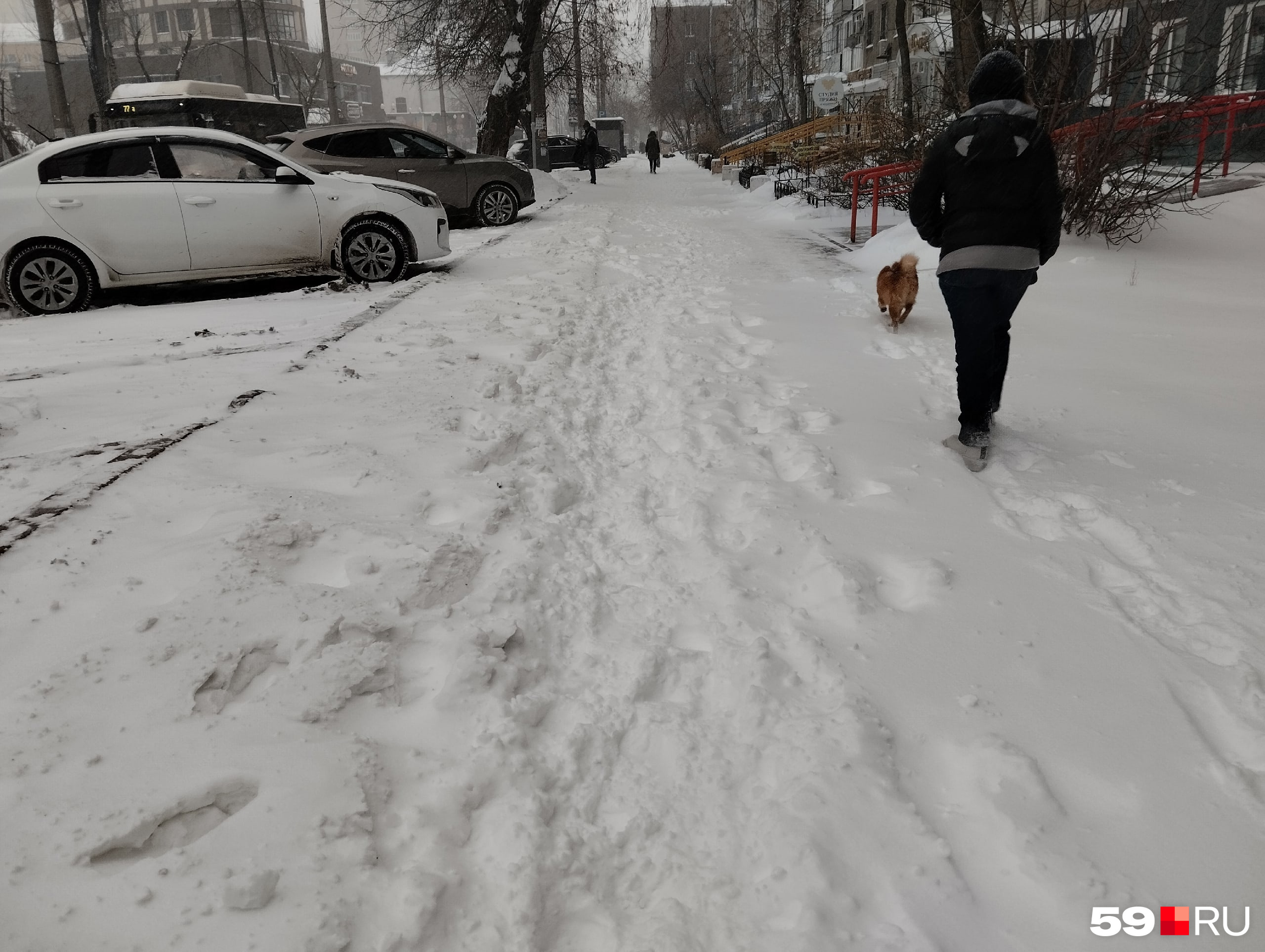 Тротуары в Перми заметает Тротуары в Перми заметает