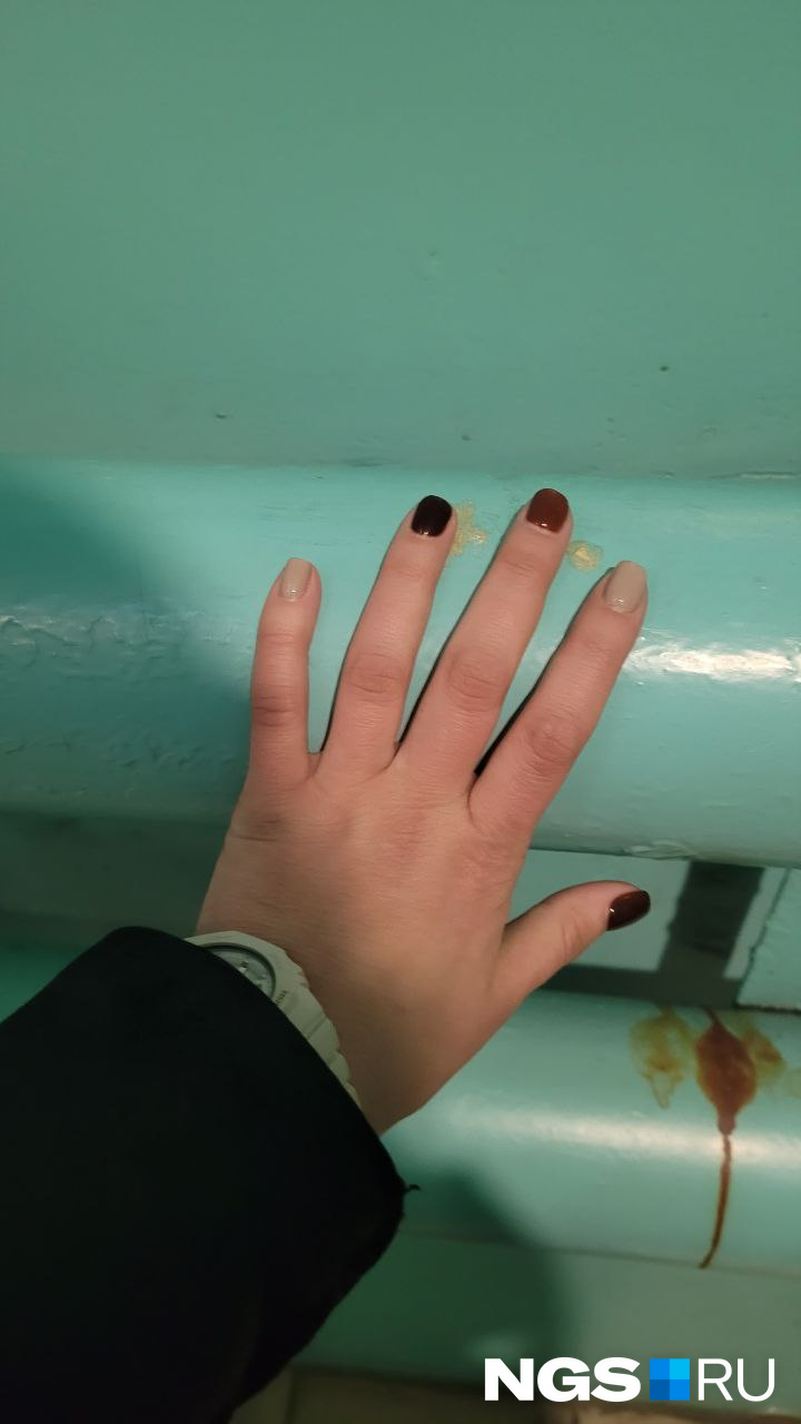 Трубы на Королева, 32 холодные, передает наш журналист с места Трубы на Королева, 32 холодные, передает наш журналист с места