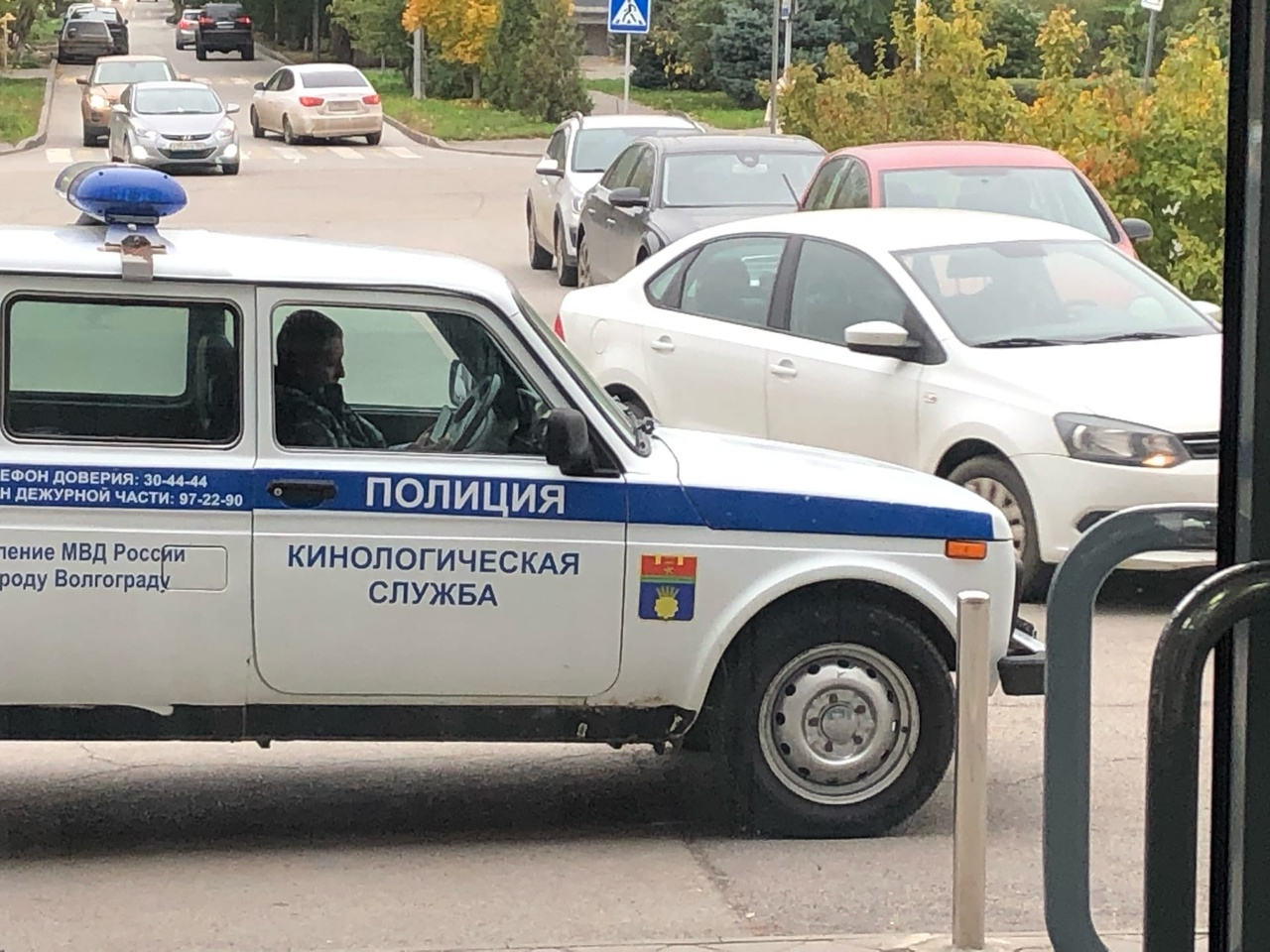 После пожарных приехали кинологи После пожарных приехали кинологи