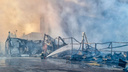 Андрей Бочаров напомнил про опасность пожаров горящей Волгоградской области
