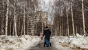 Каким будет апрель в Новосибирске? Изучаем прогнозы популярных сервисов погоды