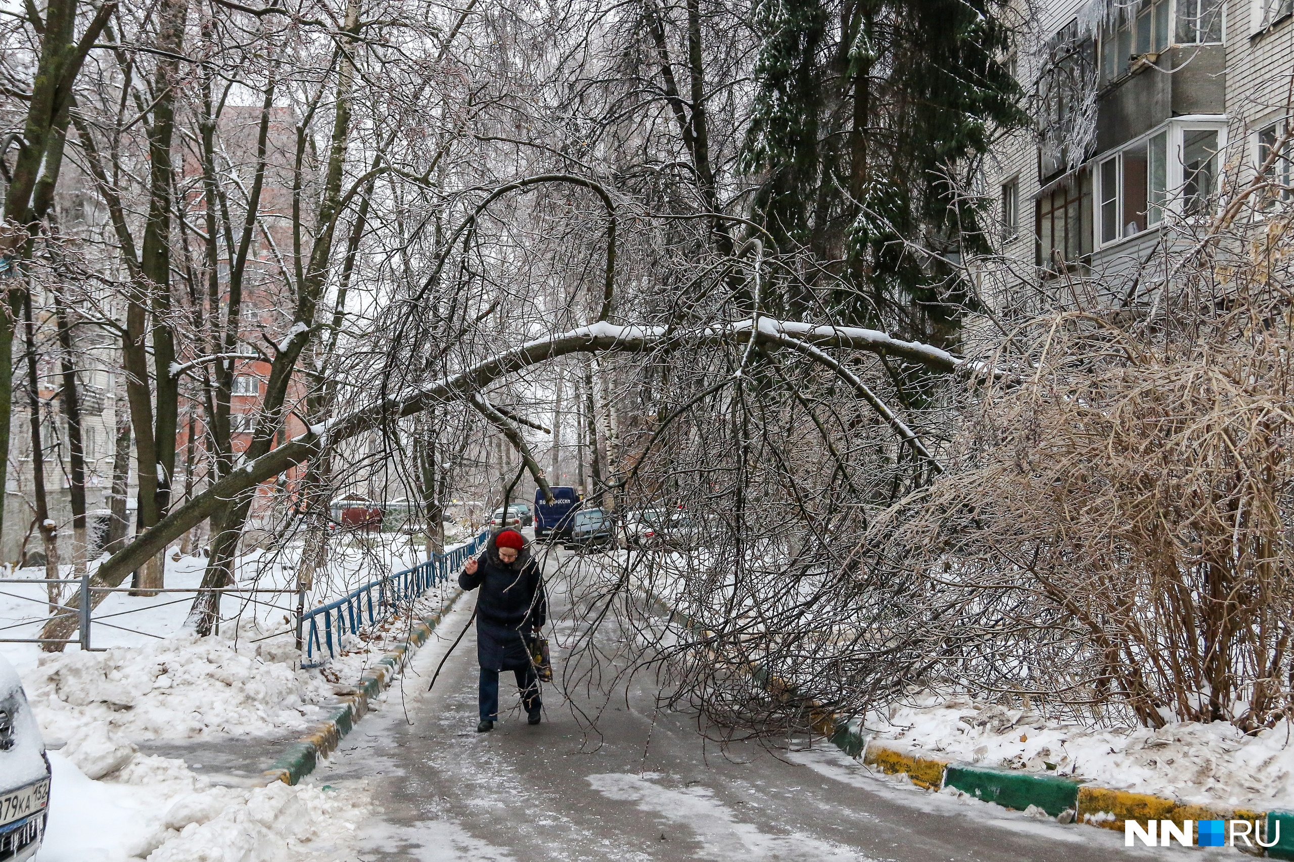 аварийно-восстановительные работы. после ледяного дождя. ледяной дождь деревья. последствия ледяного дождя в нижнем новгороде фото. последствия ледяного дождя.