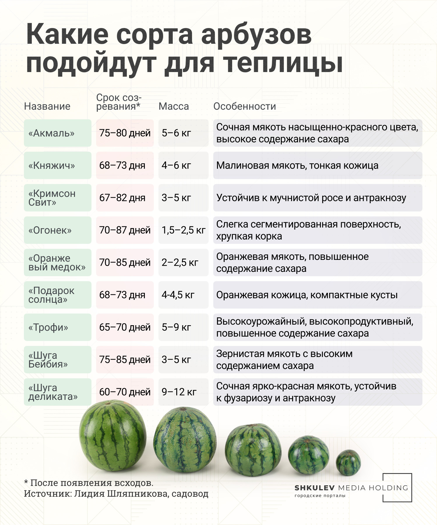 Вкусные дыни и арбузы своими руками: как вырастить бахчу в ог��роде - 16июня 2022 - 93.ru