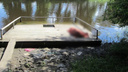 Не смог справиться с течением: в Ярославской области в реке нашли тело <nobr class="_">34-летнего</nobr> мужчины