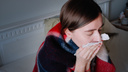 В Поморье бушуют грипп и ОРВИ: как долго заболевший гриппом распространяет вирус дальше