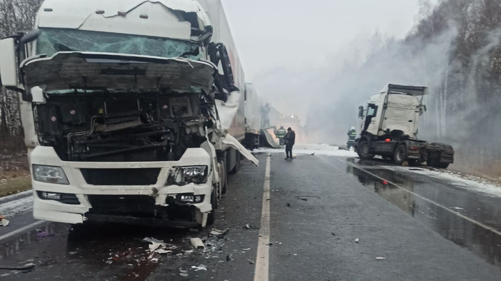 Пять большегрузов и легковушка столкнулись в смертельном ДТП на трассе М-7