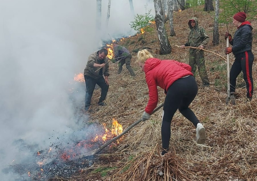 Местные жители тушат лесной пожар в Минусинском районе (Красноярский край)