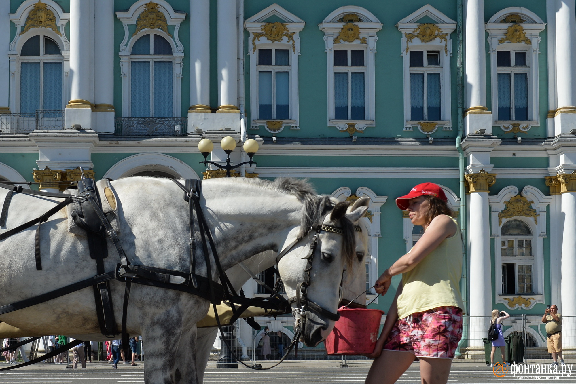 Жара в Питере 2022