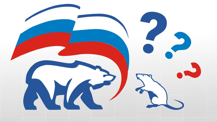 В Архангельске единороссы борются с крысами — кто победит? Опрос 29.RU