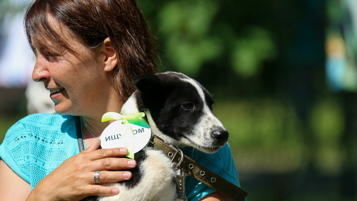 В Казани бесплатно раздавали собак. Показываем 30 милейших фото четвероногих