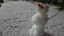 «А каких слепили вы?»: курганцы в соцсетях хвастают снеговиками