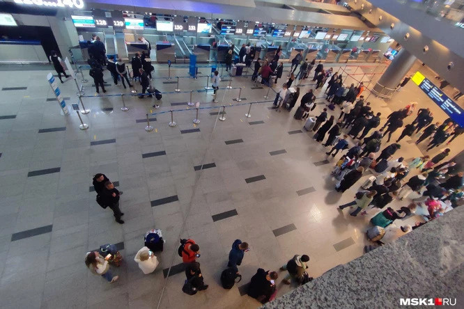 «Не регистрируют на рейсы»: уральцы застряли в аэропортах Москвы