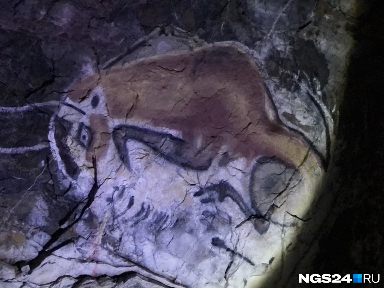 На входе в пещеру нас встречают современные граффити: аналоги первых рисунков стада бизонов в пещере Альтамира в Испании