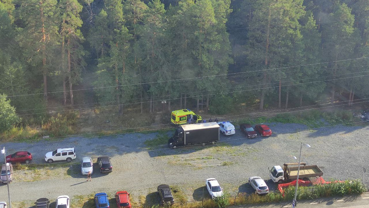 В Екатеринбурге в лесу обнаружили труп. Объясняем, что произошло