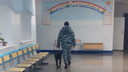 «Автор письма требовал 50 тысяч»: кинологи проверили 14 школ под Новосибирском из-за сообщения о минировании