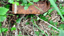 В Притобольном районе уничтожили артиллерийский снаряд времен Гражданской войны